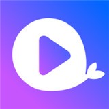 暗网下载最新版